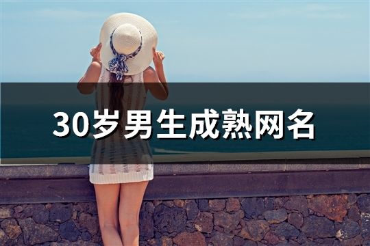 30岁男生成熟网名(精选393个)