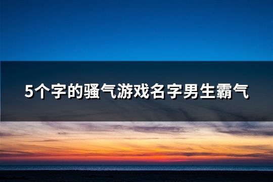 5个字的骚气游戏名字男生霸气(60个)