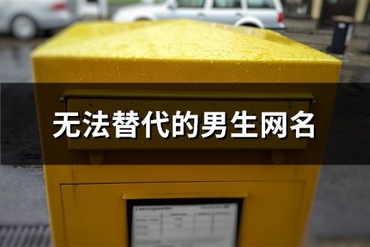 无法替代的男生网名(共759个)