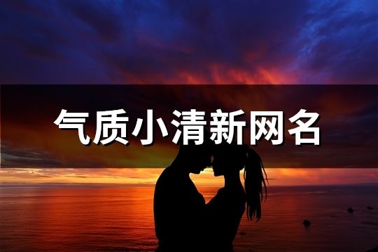 气质小清新网名(388个)