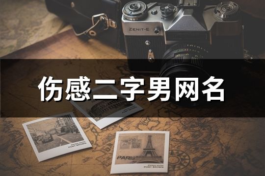 伤感二字男网名(共1147个)