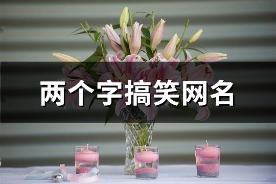 两个字搞笑网名(449个)