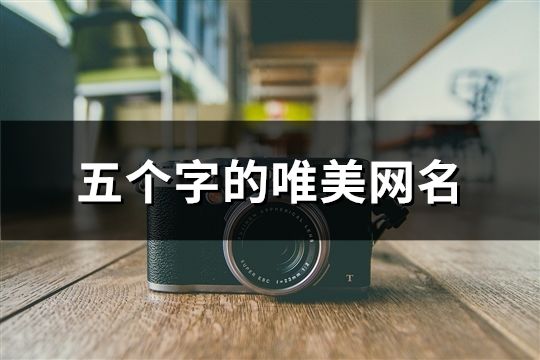 五个字的唯美网名(精选1082个)