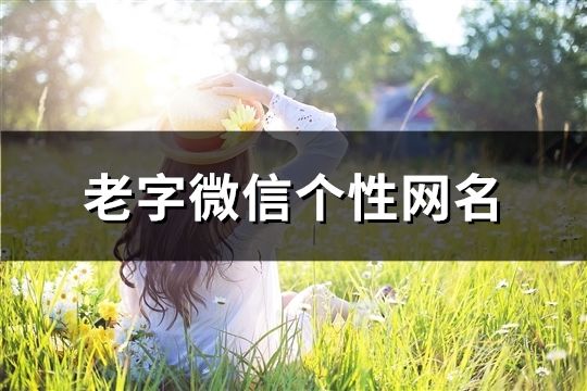 老字微信个性网名(68个)