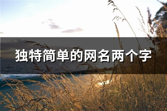 独特简单的网名两个字(58个)