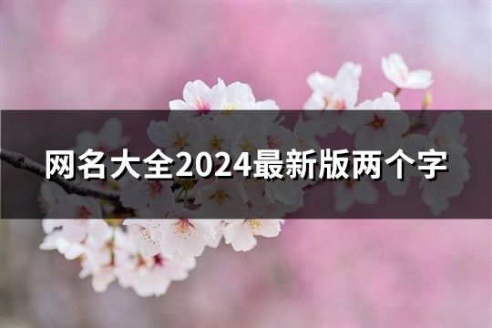 网名大全2024最新版两个字(共38个)