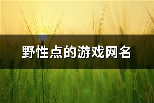 野性点的游戏网名(491个)