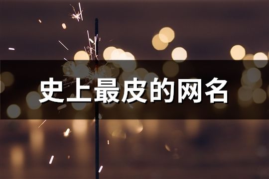 史上最皮的网名(共361个)