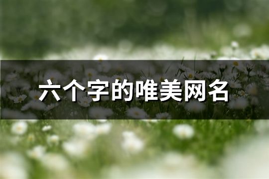 六个字的唯美网名(1051个)