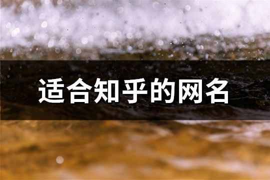 适合知乎的网名(423个)