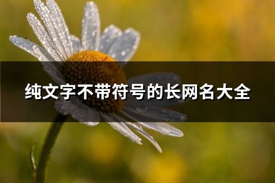 纯文字不带符号的长网名大全(精选287个)