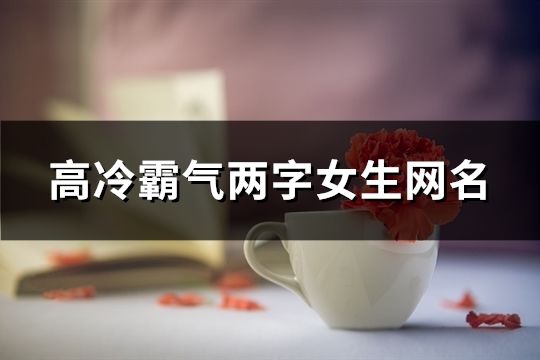 高冷霸气两字女生网名(精选962个)