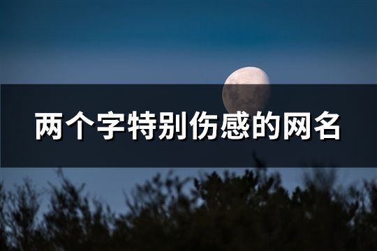 两个字特别伤感的网名(精选1733个)