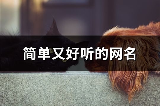 简单又好听的网名(852个)