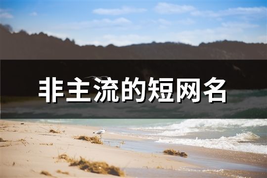 非主流的短网名(精选644个)