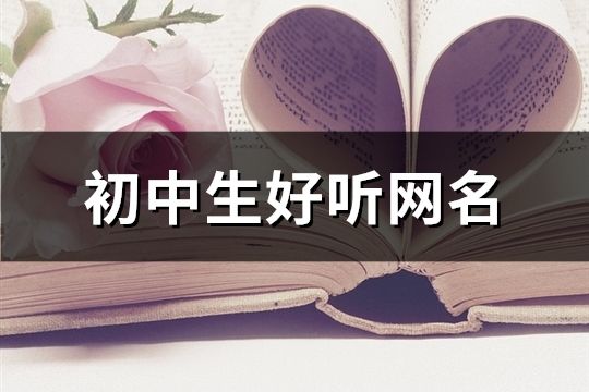 初中生好听网名(共520个)