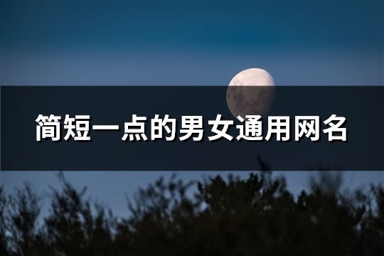 简短一点的男女通用网名(526个)