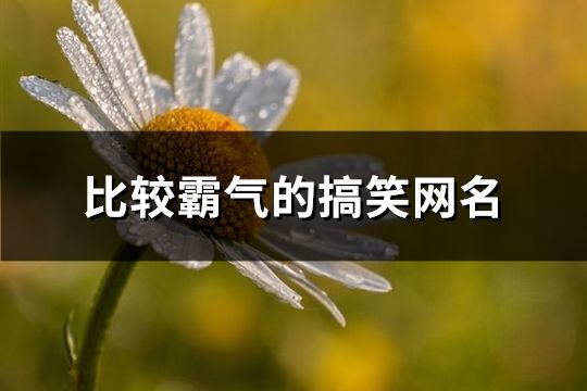比较霸气的搞笑网名(共234个)