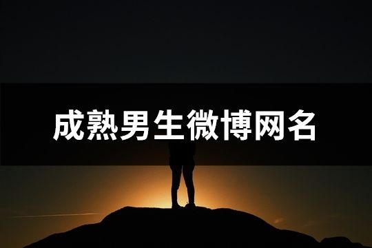 成熟男生微博网名(共162个)