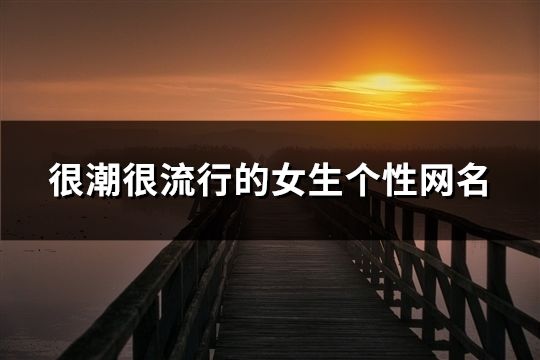 很潮很流行的女生个性网名(1131个)