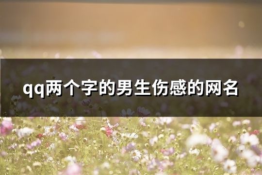 qq两个字的男生伤感的网名(1174个)