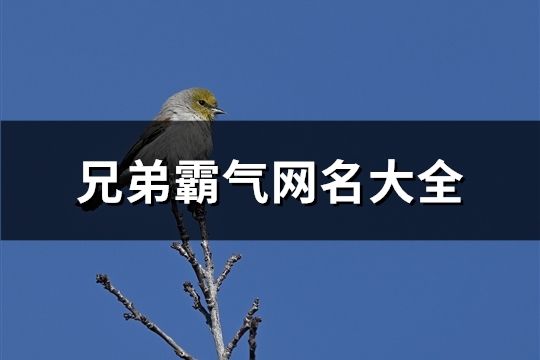 兄弟霸气网名大全(精选68对)