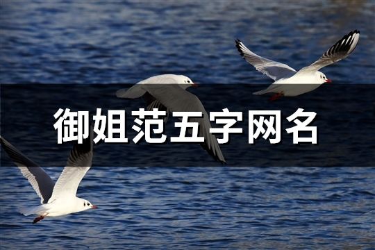 御姐范五字网名(共1495个)