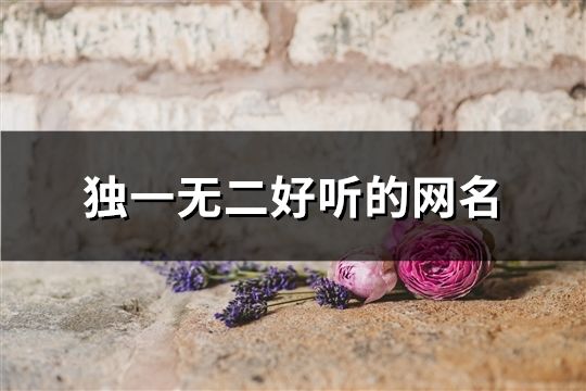 独一无二好听的网名(精选860个)