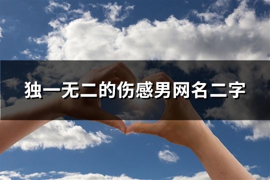 独一无二的伤感男网名二字(精选977个)