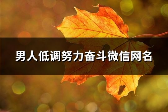 男人低调努力奋斗微信网名(共336个)