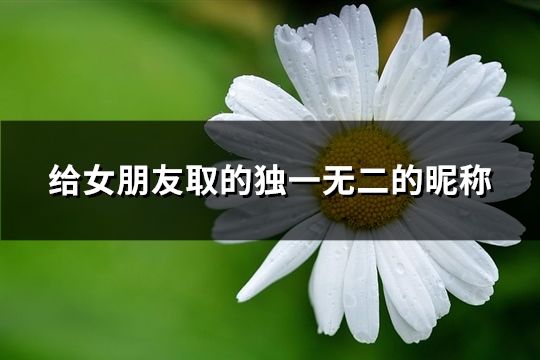 给女朋友取的独一无二的昵称