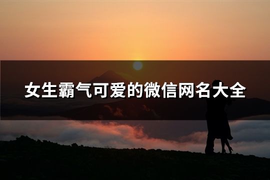 女生霸气可爱的微信网名大全(332个)