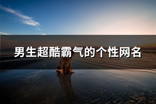 男生超酷霸气的个性网名(1203个)