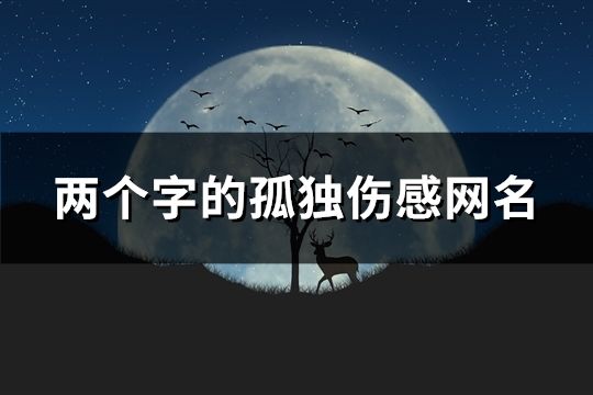 两个字的孤独伤感网名(1023个)