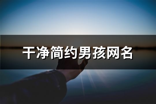 干净简约男孩网名(771个)