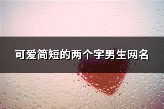 可爱简短的两个字男生网名(642个)