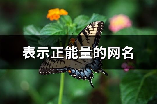 表示正能量的网名(精选385个)