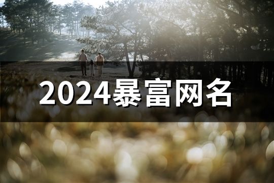 2024暴富网名(精选1570个)