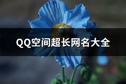 QQ空间超长网名大全(1303个)