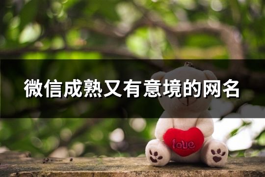 微信成熟又有意境的网名(精选742个)