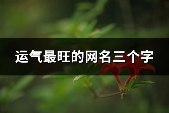运气最旺的网名三个字(458个)