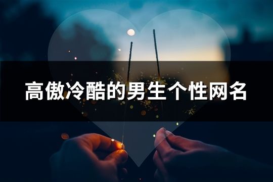 高傲冷酷的男生个性网名(精选407个)