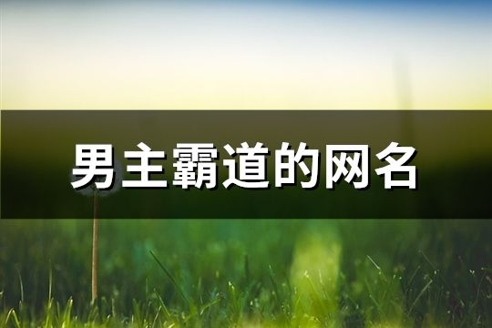 男主霸道的网名(精选1247个)