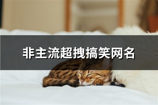 非主流超拽搞笑网名(489个)