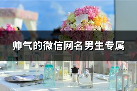 帅气的微信网名男生专属(540个)