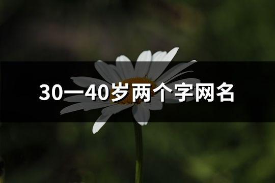 30一40岁两个字网名(精选418个)