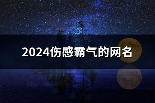 2024伤感霸气的网名(1097个)