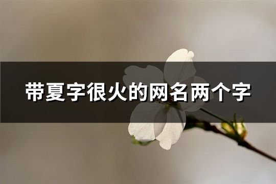 带夏字很火的网名两个字(137个)
