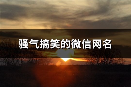 骚气搞笑的微信网名(精选391个)