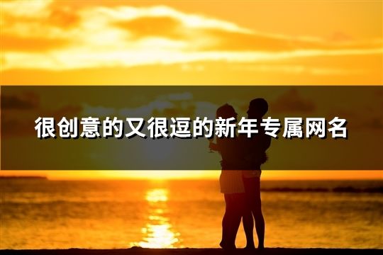 很创意的又很逗的新年专属网名(219个)